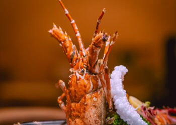 Dil ki Khushi…Sushi